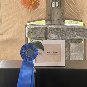 Best in Show Peggy Arnette 